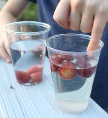 do grapes sink or float? sugar density