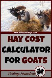 A bale of hay costs roughly eight dollars, but many factors affect the price. Hay Cost Calculator For Goats How Much Hay Do I Need Ziegen Kaufen Ziege Tiere
