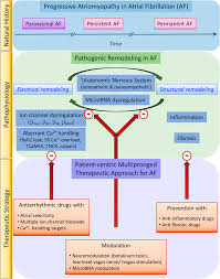 Image result for Antiarrhythmic