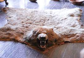 It makes so beautiful color combination inspired from this image. Ideas For Faux Bear Skin Rug Faux Bear Skin Rug Bear Skin Rug Bear Rug