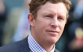 Exciting colt short odds in the Debutant Stakes at Caulfield