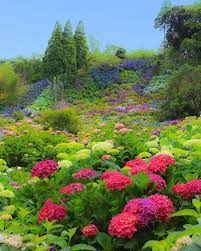 290 mentions j aime 5 commentaires 𝙎𝙝𝙞𝙧𝙡𝙚𝙮 𝙂𝙤𝙢𝙚𝙨 𝙎𝙤𝙖𝙧𝙚𝙨 shirleygomes in 2021 beautiful landscapes beautiful gardens beautiful nature pictures