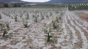 Resultado de imagen de LLUVIA EN LOS CAMPOS