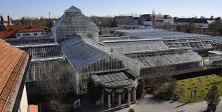 Was besucher beim ticketkauf beachten müssen. Botanischer Garten Gewachshauser Bis Oktober Geschlossen Radio Arabella