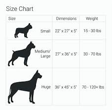 Molly Mutt Amarillo By Morning Square Dog Duvet Cover Small