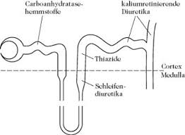 In psychology, it has to do with range that you establish for measuring certain variable. Diuretika Lexikon Der Ernahrung