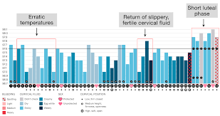 Decipher Your Cycle With These Sample Groove Charts