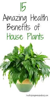 15 Amazing Health Benefits Of House Plants Plant Benefits Benefits Of Indoor Plants House Plants