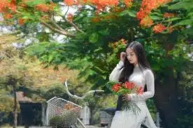 Top 10 bài văn mẫu thuyết minh về cây phượng hay nhất - TopShare
