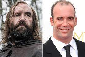 Pin On Sandor The Hound Clegane Rory Mccann