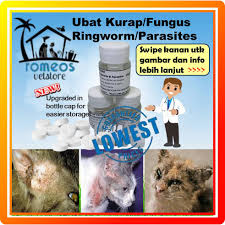 Удаление черной плесени на балконе: Buy Harga Termurah Ubat Kurap Kucing Anjing Cat Anti Fungal Ubat Fungus Ubat Kurap Kitten Adult Seetracker Malaysia