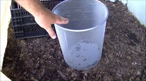 *results in pounds of worm castings (lbs). Are Worm Castings Good For Citrus Trees Couch To Homestead