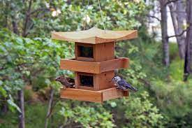 Pagoda Bird Feeders Bird Feeders Unique Bird Feeders Bird Feeder Plans