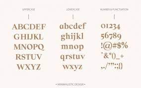 And how, as a designer, you can choose the right fonts and combine them. Solomon Serif Font Family Befonts Com