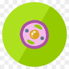 We did not find results for: Animal Cell Diagram Without Labels Cell Biology Png Clipart 205984 Pinclipart
