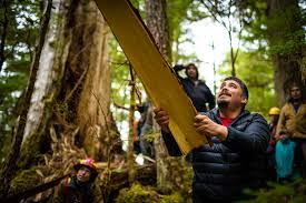 Check spelling or type a new query. Resilient Peoples Place Monument Trees And Cedar Stewardship On The Tongass National Forest Juneau Empire