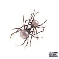 Can't Wait Song|Doja Cat|Scarlet| Listen to new songs and mp3 song download  Can't Waitonline