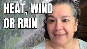 Working at Panera Bread (Corporate Edition)