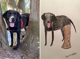 Who doesn't love a custom pet portrait? I Have Never Drawn In My Life But I Am Doing Crappy Pet Portraits To Raise Money For Charity 30 Pics Bored Panda