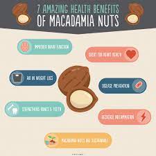Macadamia Nuts Nutrition 7 Health Benefits Macadamia Nut Benefits Macadamia Nuts Macadamia Nuts Nutrition