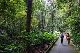 Klik tombol di bawah ini untuk pergi ke halaman website download film air terjun pengantin (2009).jika link rusak atau tidak dapat di download subtitle film air terjun pengantin (2009). Penang Botanical Gardens 16 Best Things To Do In 2021 Penang Insider