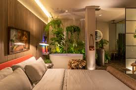 Interior plants supports 3ds max, cinema 4d, sketchup, blender, artlantis, rhino, lightwave, modo, fbx, obj with. 10 Resistant Plants That Survive In Low Light Spaces Archdaily