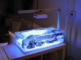 Dual View Ada 60 F Shallow Setup Diy Ai Nano Mount Saltwater Aquarium Coral Reef Aquarium Saltwater Fish Tanks