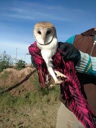 Emmanuel Ignacio Eguis