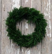 Pine trees are cultural symbols all around the world! Pin On New Products Of 2015