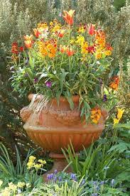 Container Garden Planting For Spring Container Gardening Plants Creative Gardening
