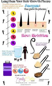 Hair Growth Chart Natural Hair Styles Natural Hair Care