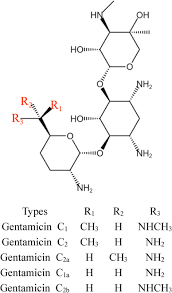 Image result for Gentamicin