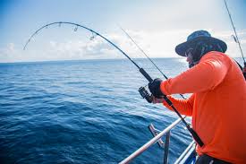 And although this daiwa mp3000 may set you back immediately after your purchase, all the fish you. How To Choose A Fishing Rod The Complete Guide