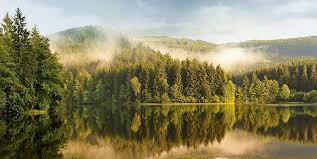 Familienhotel Harz 2021 Kinderfreundliche Hotels Im Harz Kinderhotel Harz Familienhotels Kinderhotels Harz Gunstig Buchen Bei Sonnenklar Tv