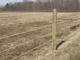 Compare the best local fence pros with reviews from your neighbors. Barbed Wire Strictly Fences