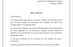 Théoriquement, une démission peut donc être donnée verbalement. Lettre De Demission D Une Association Docutexte