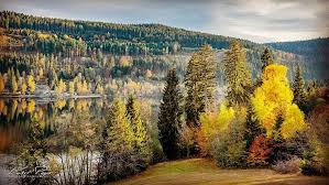 Traumhaft Schoner Herbstwald Am Titisee Schwarzwald Outdoor Ausflug Herbst Titisee Wanderlust Hochschwarzwald Schwarzwald Wandern Deutschland