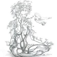 A Word To The Wise By Mark Johnson Mark Johnson Art Mother Earth Art