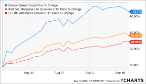 Canopy Growth The King Of Cannabis Doesnt Come Cheaply