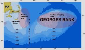 Map Of Adult Sampling Areas Western And Eastern Georges Bank Sampling Download Scientific Diagram