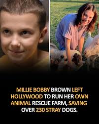 Millie Bobby Brown runs animal rescue center