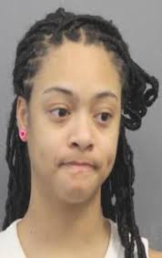 DAILY INCIDENT REPORT