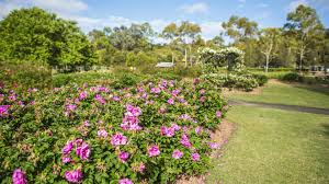 Eight Outdoor Weekend Activities To Do In Parramatta And Its Surrounds Concrete Playground Concrete Playground Sydney