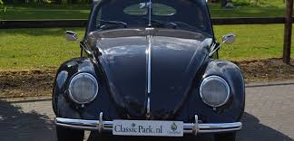 Image result for Black 1950 Beetle