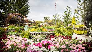 Find 14,861 traveller reviews, 8,668 candid photos, and prices for hotels in newport beach, california, united states. Rogers Gardens Home Garden Store Newport Beach Ca