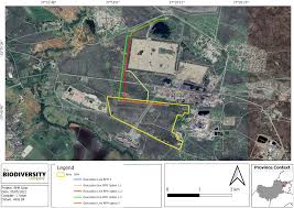 Image result for Otiophora pycnostachys