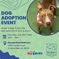Dog Adoption Event- Chesterfield PetSmart