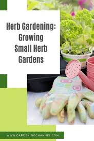 Check spelling or type a new query. How Do I Start A Small Herb Garden Laptrinhx News