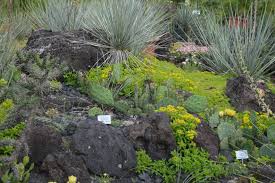 Botanischer Garten Dusseldorf
