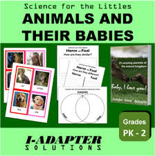 Common animal and their baby names. Baby Animal Match To Parent Worksheets Teaching Resources Tpt
